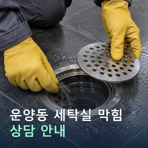 경기 김포시 운양동 세탁실막힘 현장 점검 및 상담