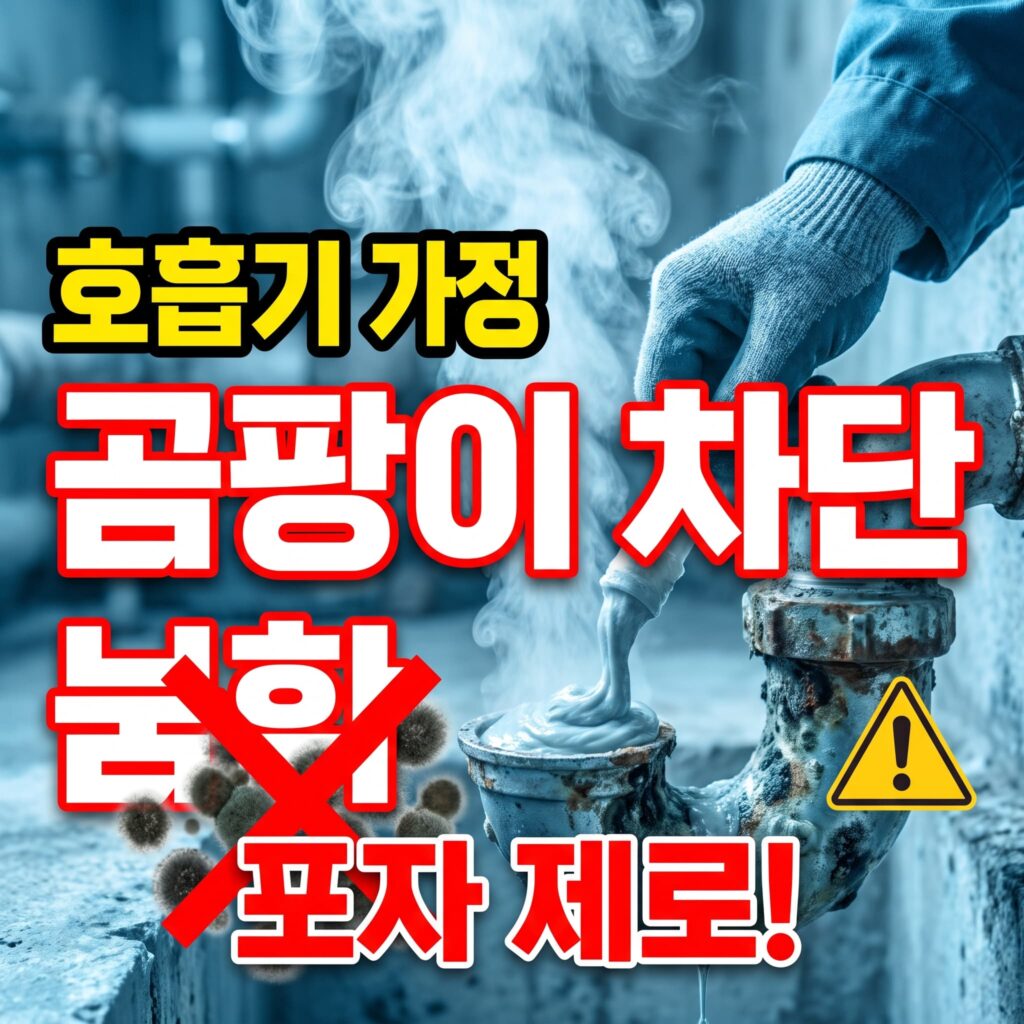 만성 호흡기 환자 가정, 곰팡이 포자 차단 배수 관리