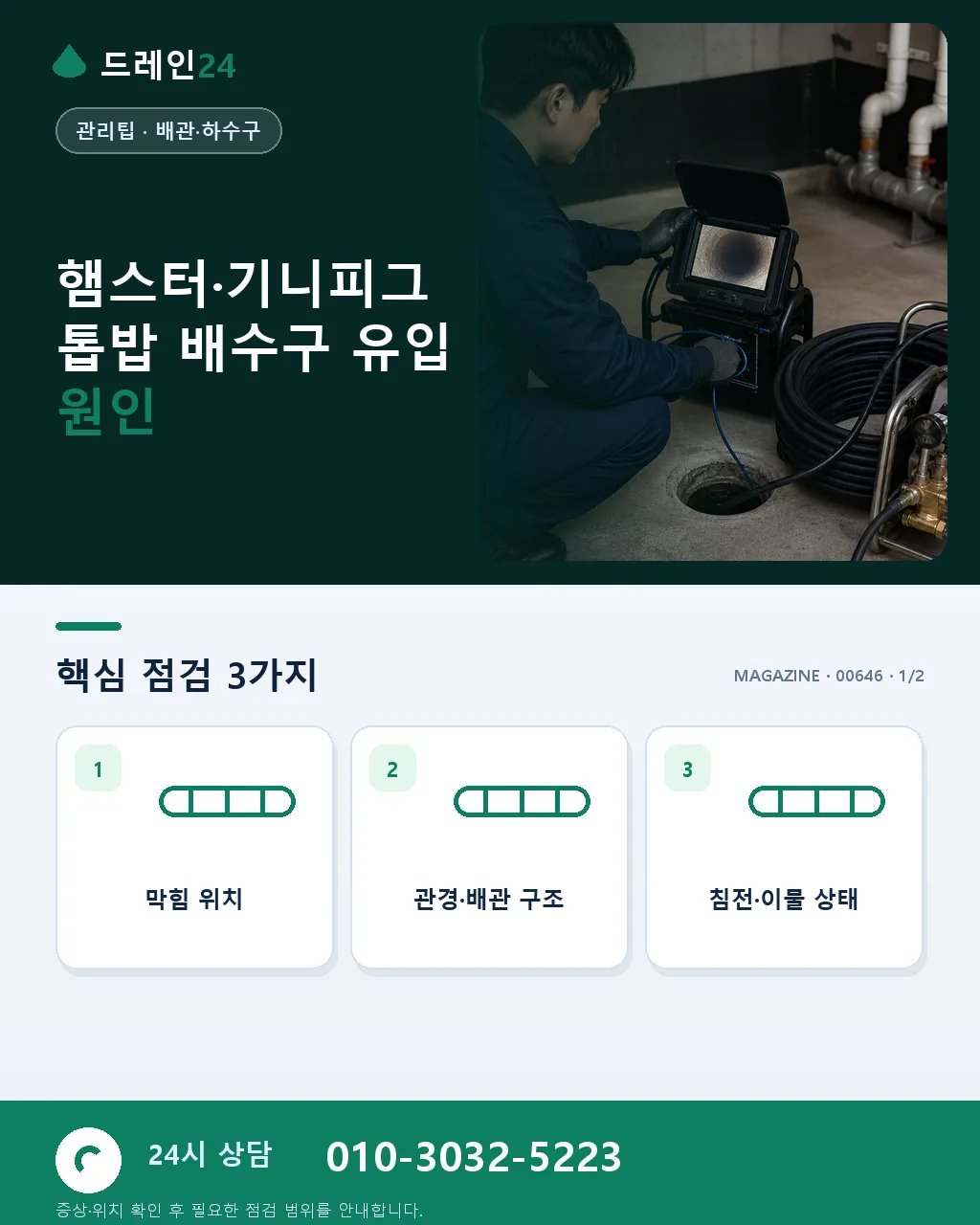 햄스터·기니피그 가정, 톱밥 배수구 유입 주의 - 햄스터·기니피그 톱밥 배수구 유입 원인 상세 안내