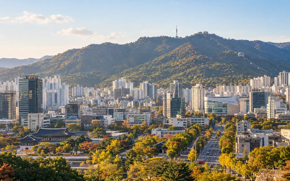 대구 지역 전경